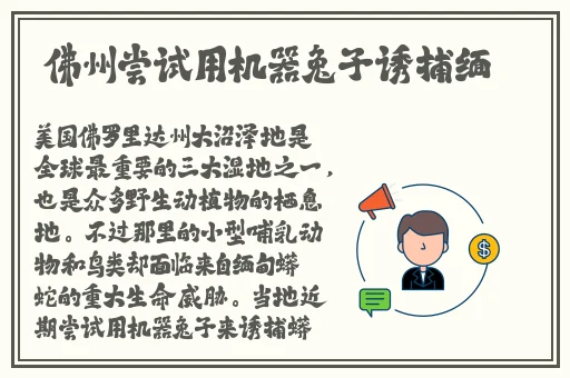 免费 高清视频不卡断